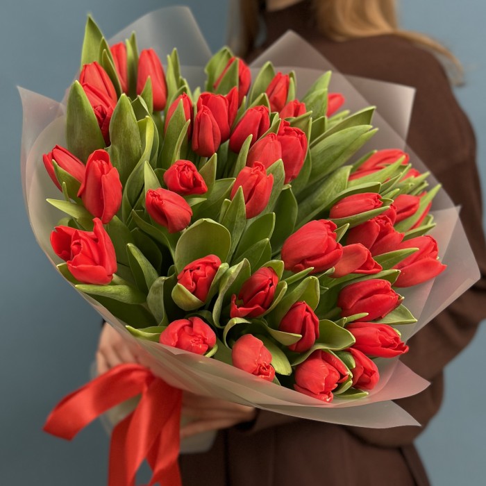 51 красный тюльпан