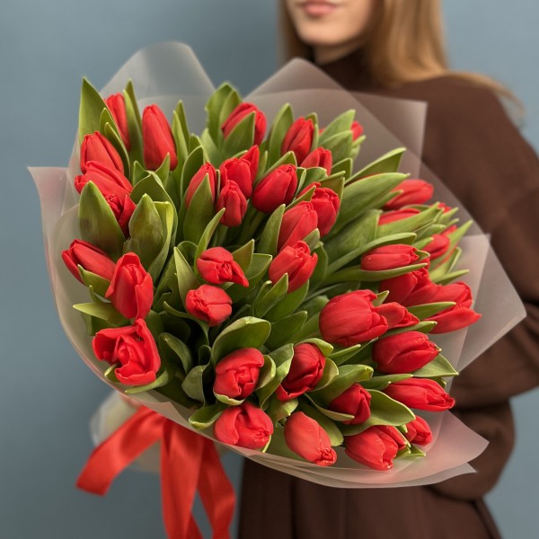 51 красный тюльпан