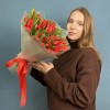 51 красный тюльпан