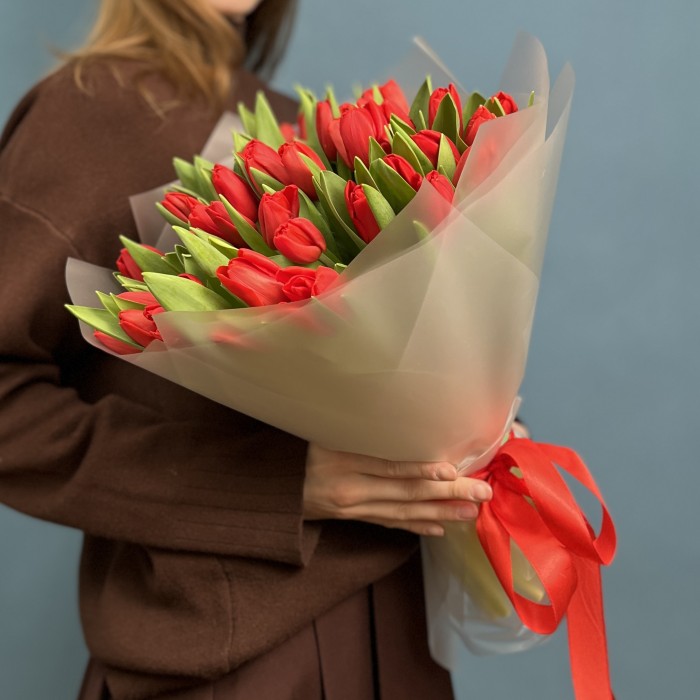 51 красный тюльпан