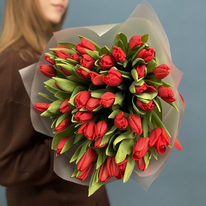 51 красный тюльпан