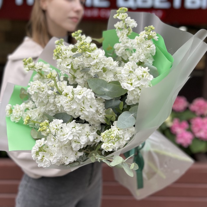 Букет из 15 белых Маттиол с эвкалиптом