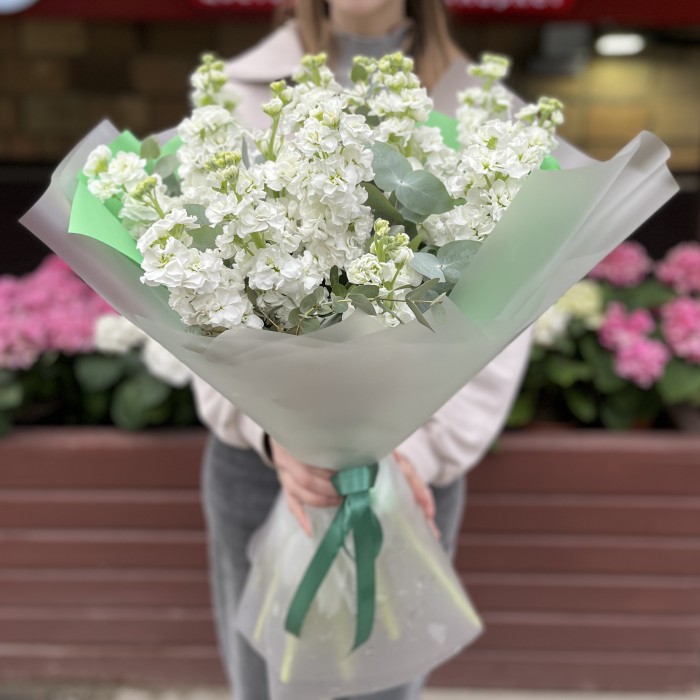 Букет из 15 белых Маттиол с эвкалиптом