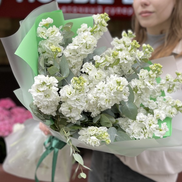 Букет из 15 белых Маттиол с эвкалиптом