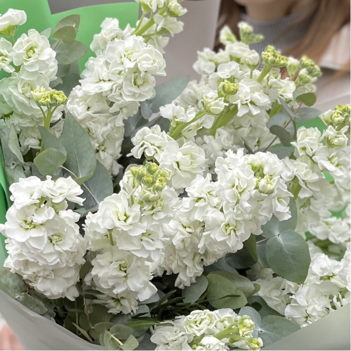 Букет из 15 белых Маттиол с эвкалиптом