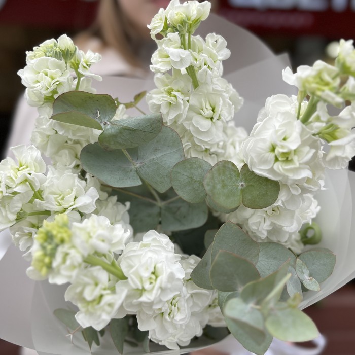 Букет из 5 белых Маттиол с эвкалиптом