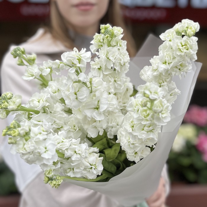 Букет из 7 белых Маттиол