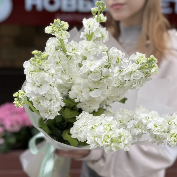 Букет из 7 белых Маттиол