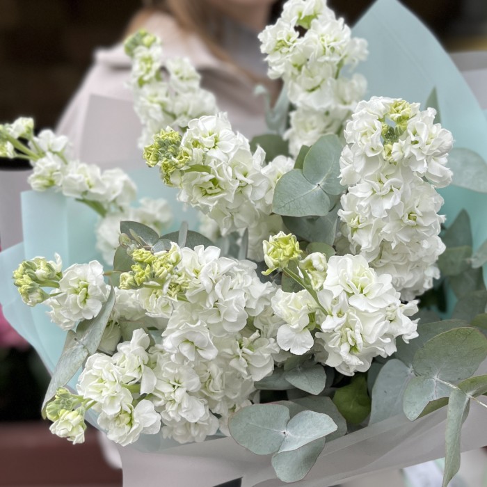 9 белых маттиол с эвкалиптом