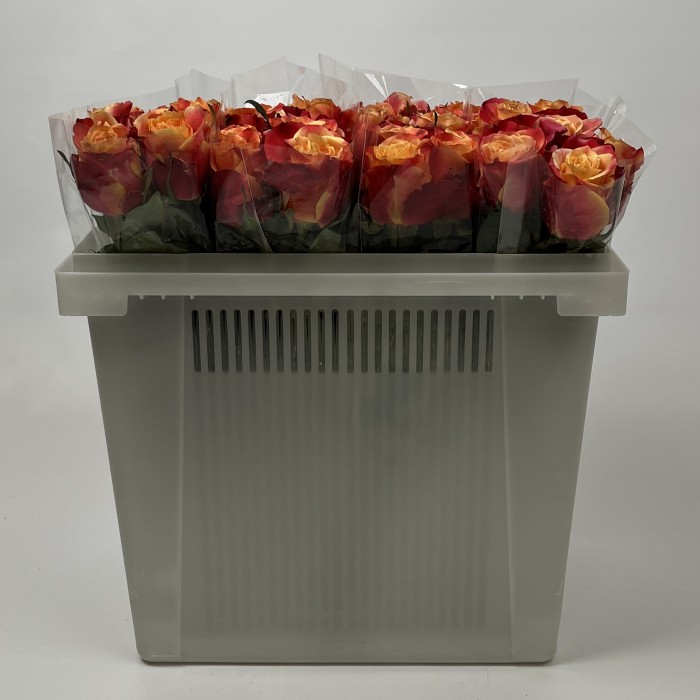 Роза 40 см Оранжево-красная 3Д