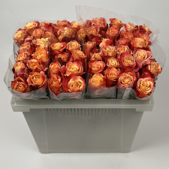 Роза 40 см Оранжево-красная 3Д
