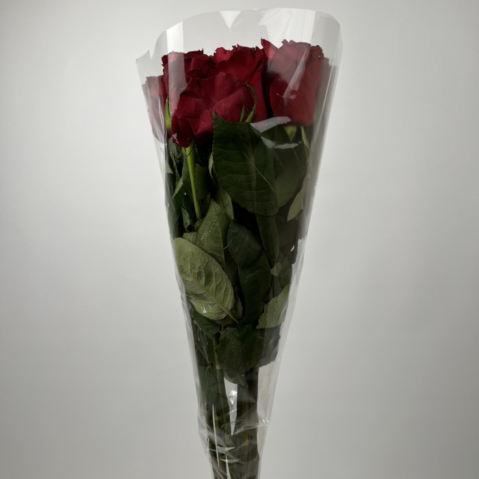 Роза 70 см Красная Кения