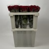 Роза 70 см Красная Кения