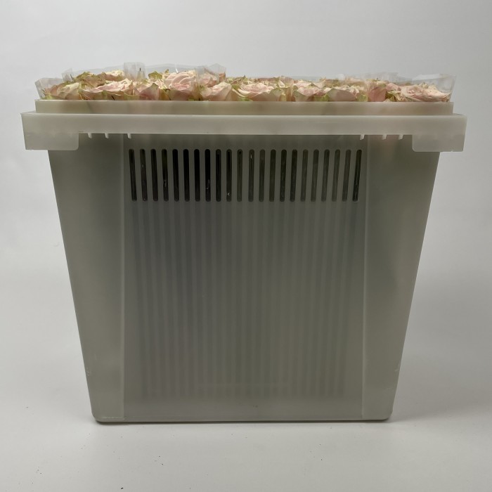 Роза 40 см розовая Пинк Атена