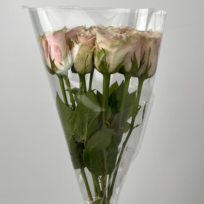 Роза 40 см розовая Пинк Атена