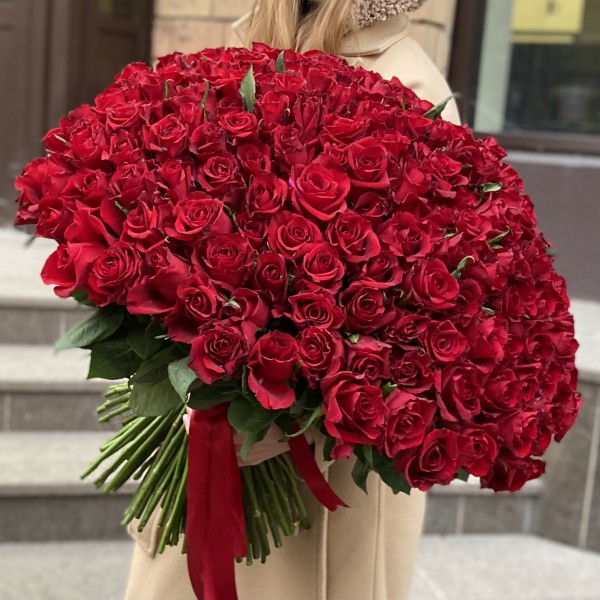 201 красная роза Эвер Ред 60 см