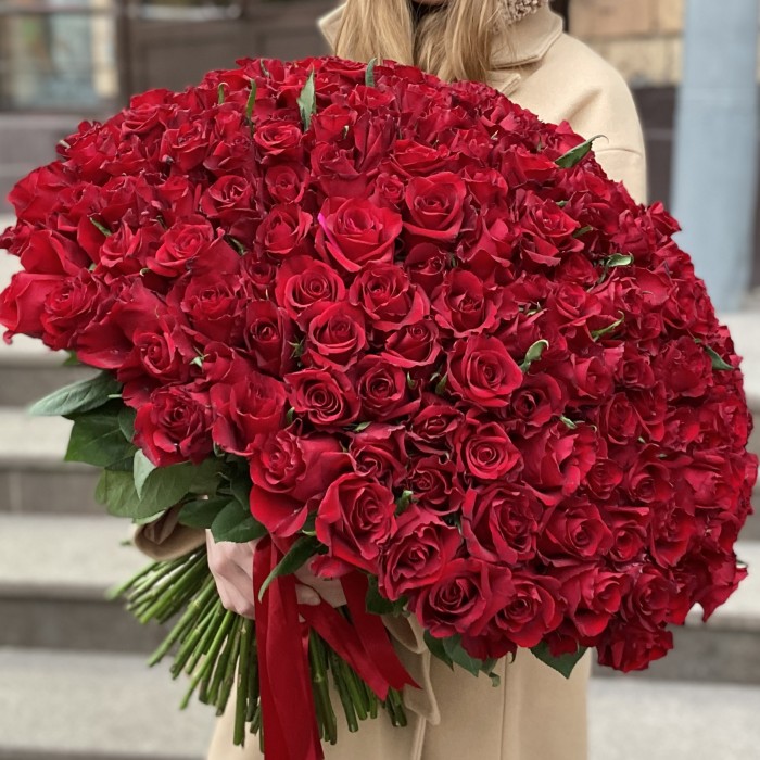 201 красная роза Эвер Ред 60 см