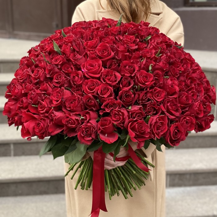 201 красная роза Эвер Ред 60 см