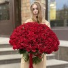 201 красная роза Эвер Ред 60 см