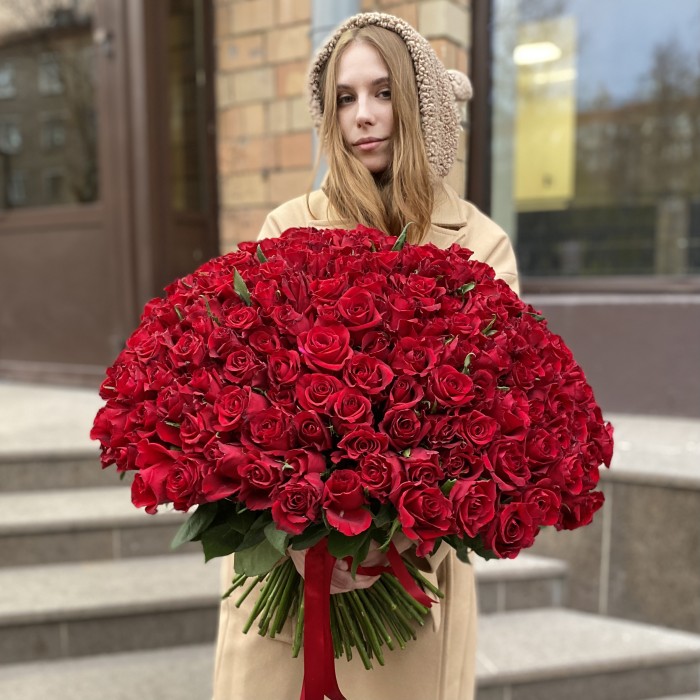 201 красная роза Эвер Ред 60 см