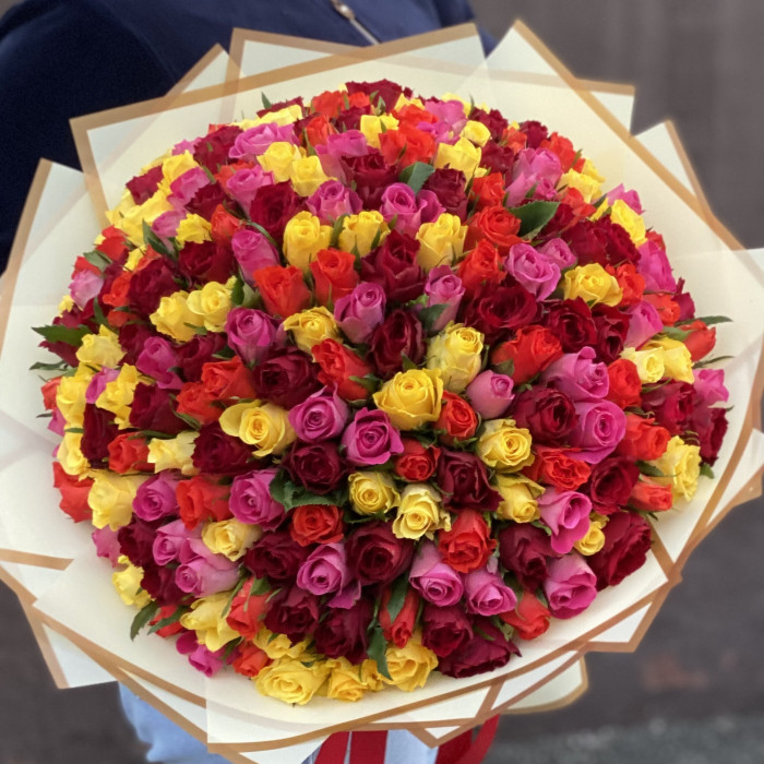 201 Роза яркий микс