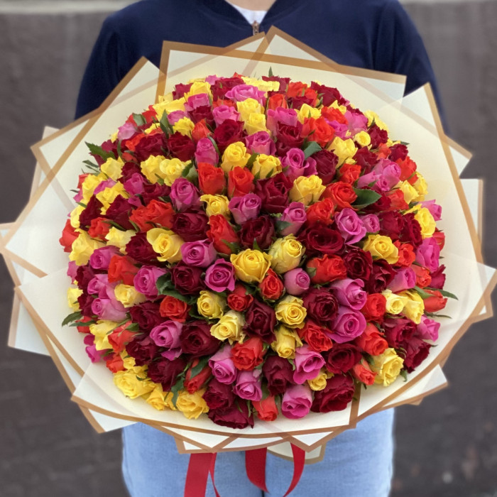 201 Роза яркий микс