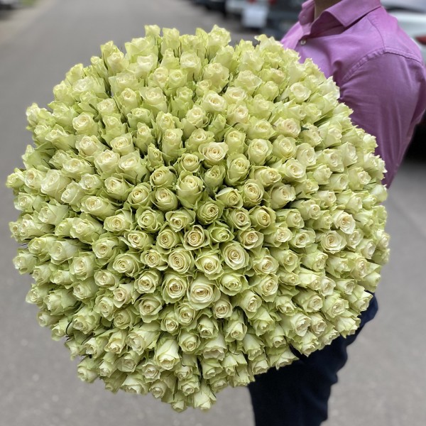 201 длинная белая роза