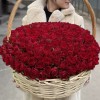 201 яркая красная роза в корзине
