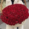 201 яркая красная роза в корзине