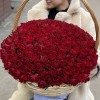 201 яркая красная роза в корзине