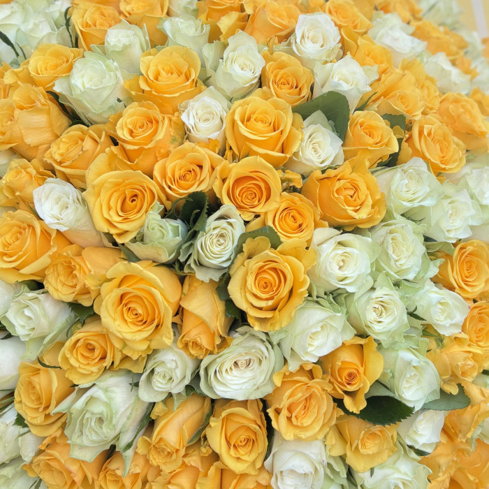 201 белая и желтая роза 40 см