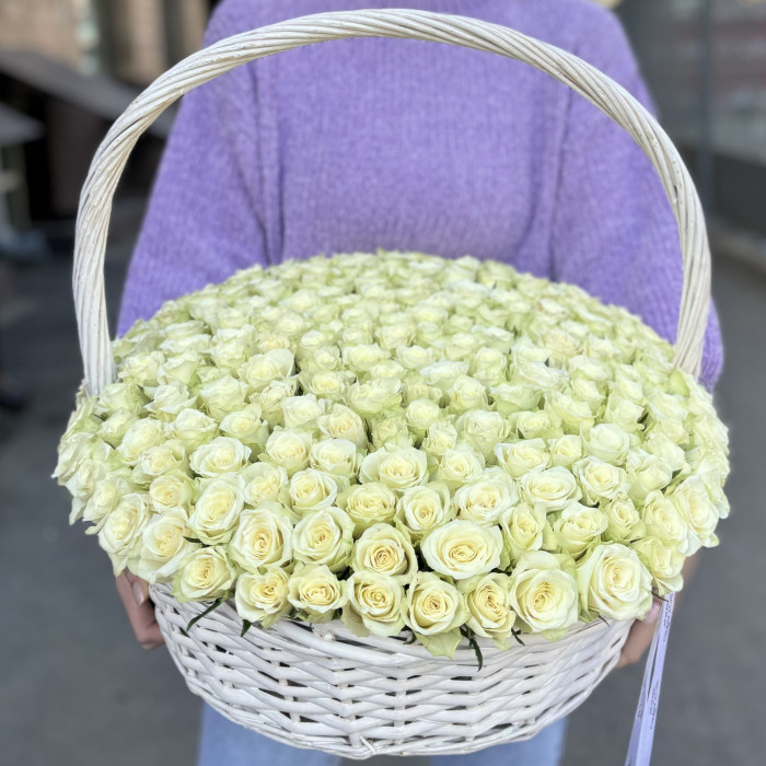 201 изящная белая роза в корзине