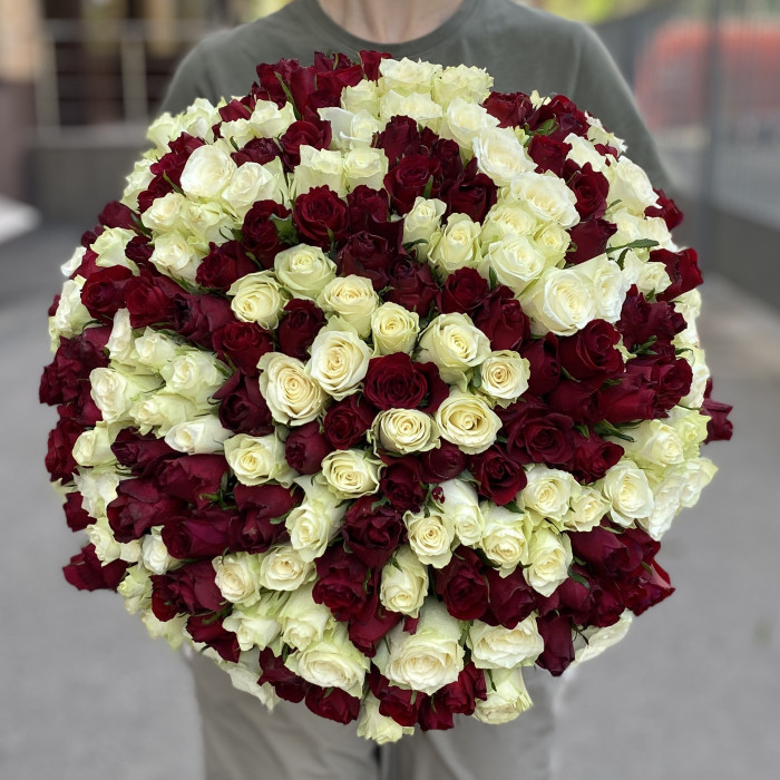 201 красная и белая роза 40 см