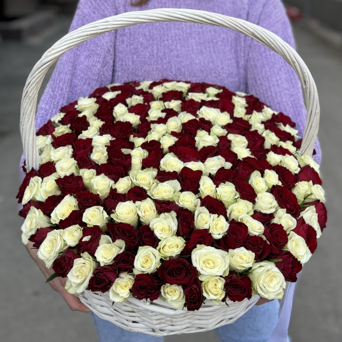 201 красная и белая роза в корзине