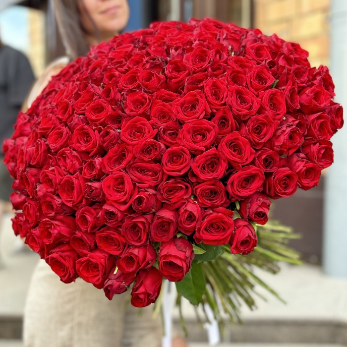 201 красная роза 60 см