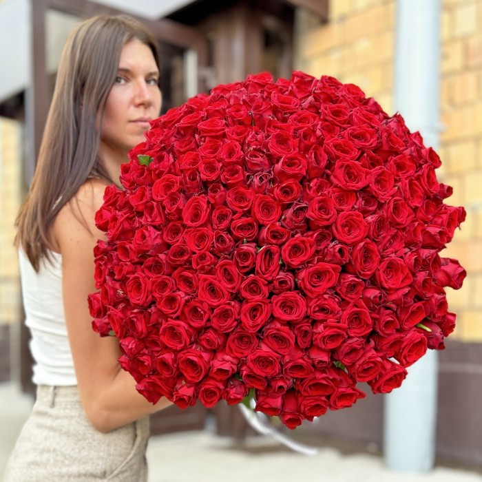 201 красная роза 60 см
