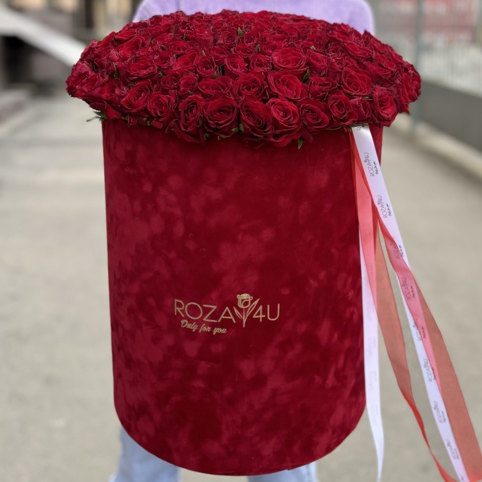 201 красная роза в бархатной коробке
