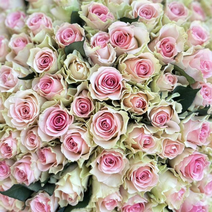 201 нежно-розовая роза 40 см