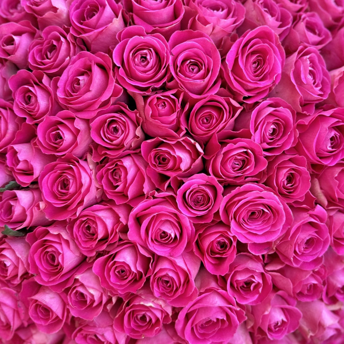 201 розовая роза 40 см