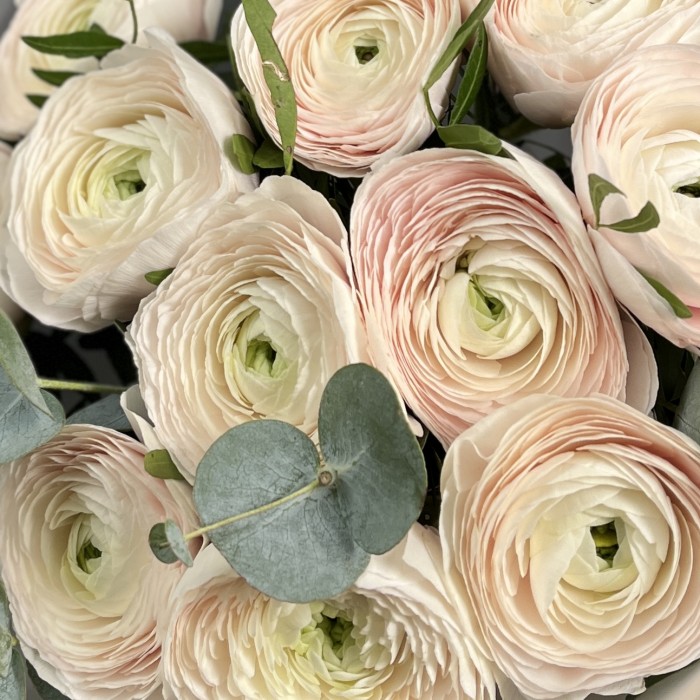 11 ранункулюсов Ханой с эвкалиптом