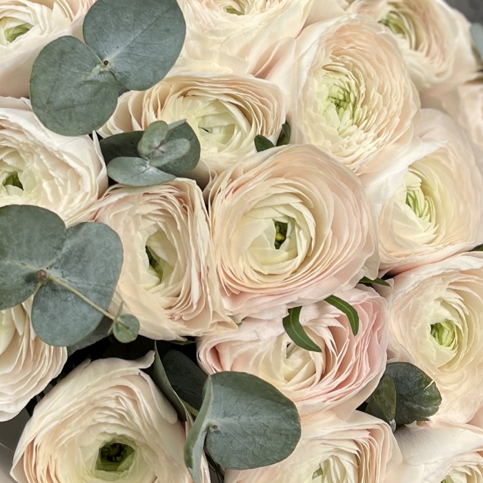 21 ранункулюс Ханой с эвкалиптом