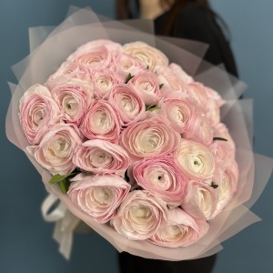 31 розовый ранункулюс