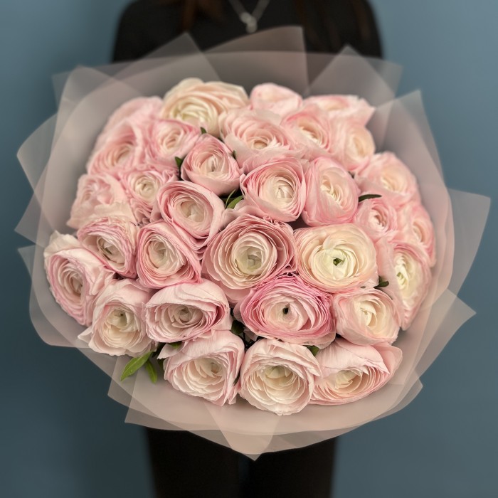 31 розовый ранункулюс