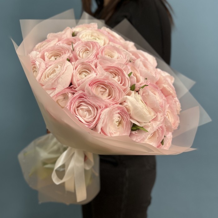 35 розовых ранункулюсов