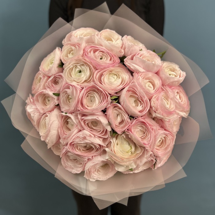 35 розовых ранункулюсов