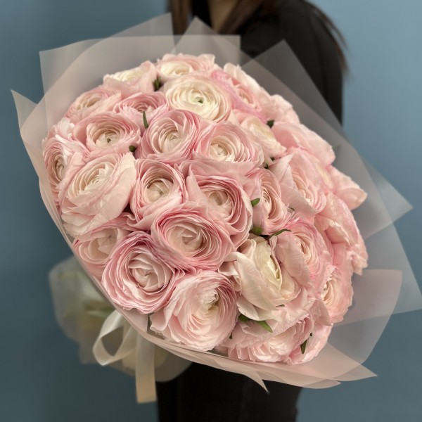 35 розовых ранункулюсов