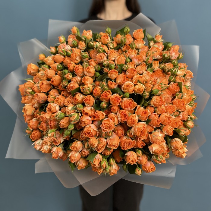 51 кустовая пионовидная роза Корал Баблс 50 см