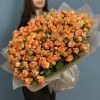 51 кустовая пионовидная роза Корал Баблс 50 см