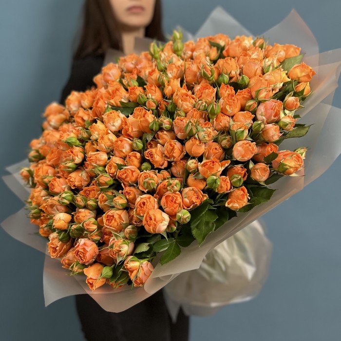 51 кустовая пионовидная роза Корал Баблс 50 см