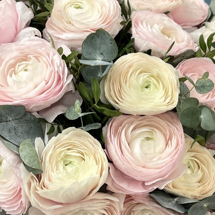 51 ранункулюс розовый и белый Ханой с эвкалиптом